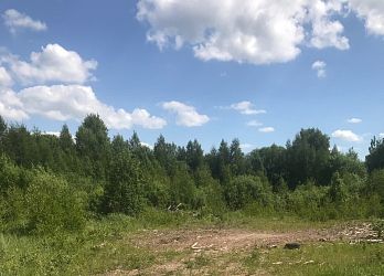 Объявление Земельный участок, 430 сот.